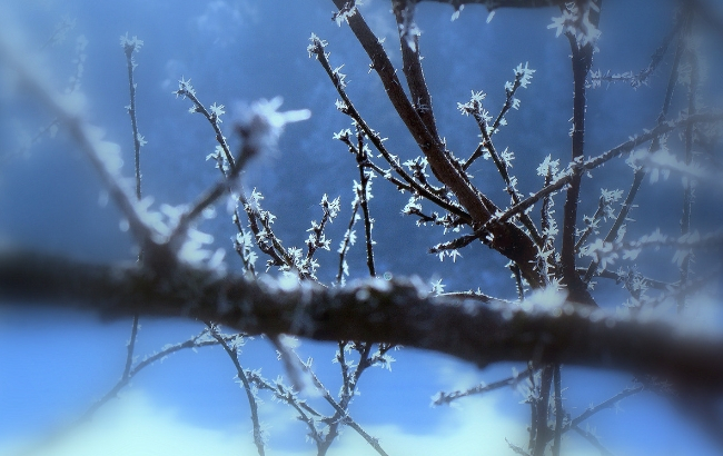 Дожди и заморозки: синоптики дали прогноз погоды на начало недели